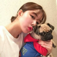 好看的女生头像动物