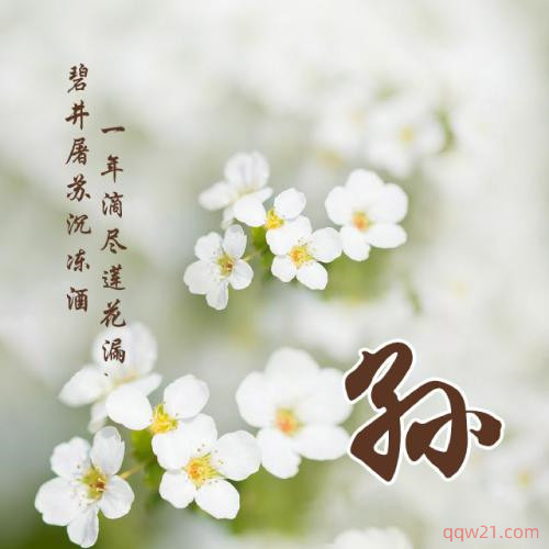 漂亮的头像图片微信