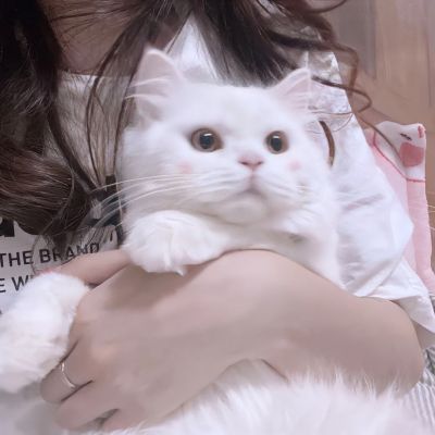 高清头像500x500
