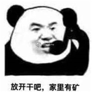 老六头像熊猫