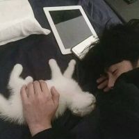 日系网名男生霸气