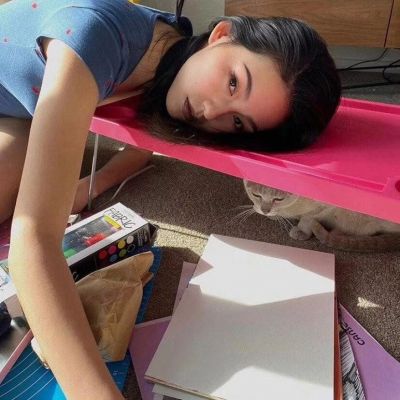 网名猫带有漂亮符号