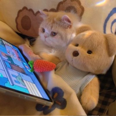 2023年最潮情侣头像可爱
