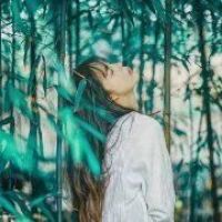 森系头像图片可保存相册