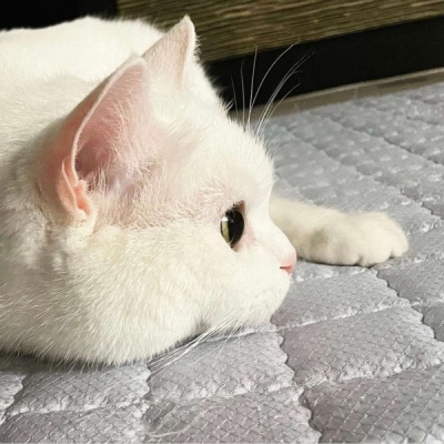 qq男生网名文艺