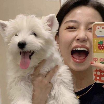 女生头像ins高级质感慵懒抱猫