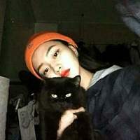 汤姆猫头像高清