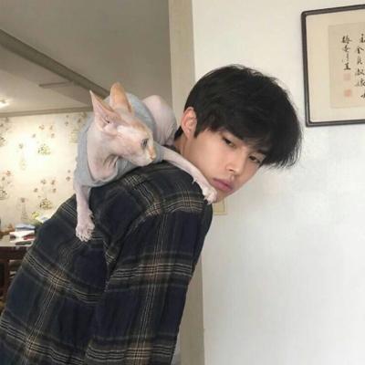 类似于太阳的符号网名