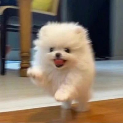 维金斯治愈笑容头像