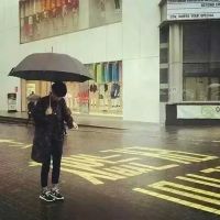 属牛人2025年最佳网名推荐与潮流趋势