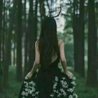 经典诗句当网名