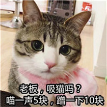 奥特曼头像搞笑中指