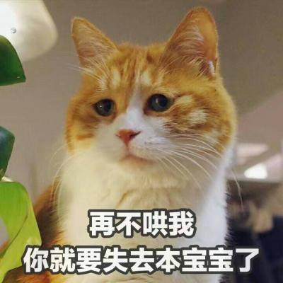 高清头像动物搞怪