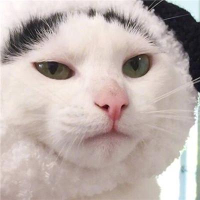 情侣头像知乎