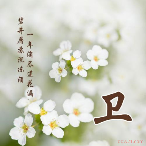 微信头像图片 唯美 清新 淡雅