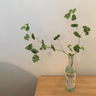 新年微信头像简单