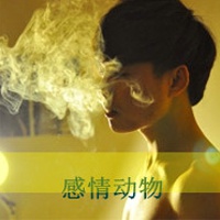 动物怪头像图片大全
