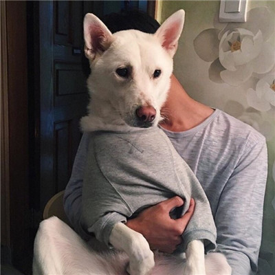 男生抱狗狗头像