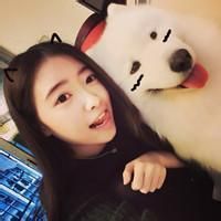可爱动物的美图头像