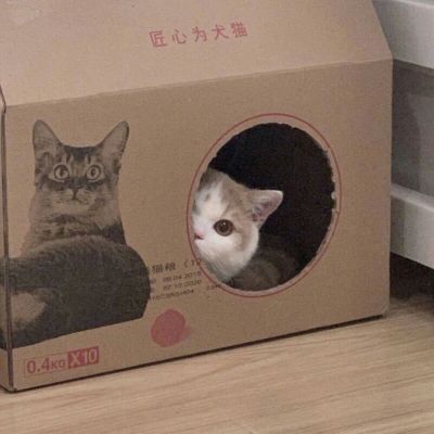 4k微信头像