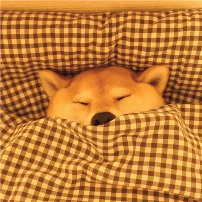 微信头像搞笑高清