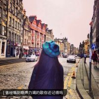 森系网名青芒