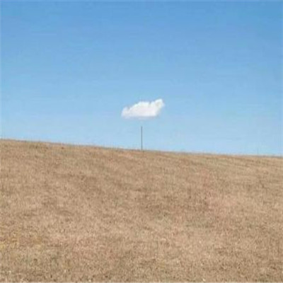 抖音头像2023风景