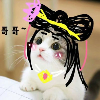 搞笑头像猫