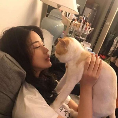 可爱猫头像