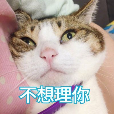 微信头像文字图片伤感