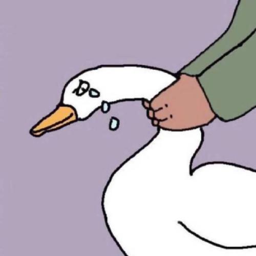 头像搞笑 沙雕