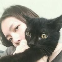 藏头诗网名女生