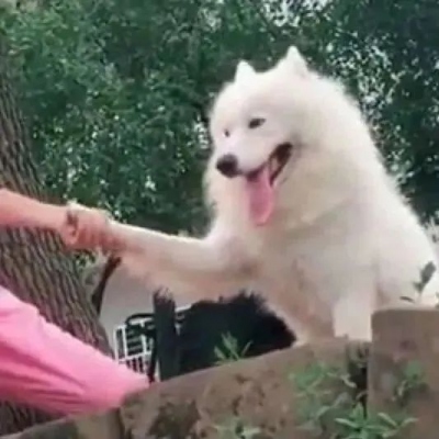 搞怪头像图片 逗比