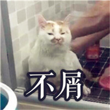 有趣的微信头像动物