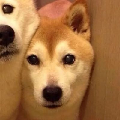 情侣头像 动漫情头可爱动物