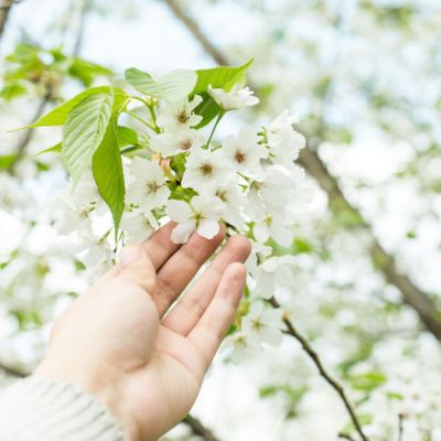 风景头像图片大全高清 真实