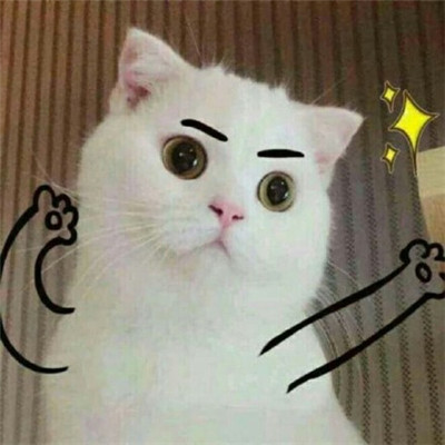 微信头像动物搞怪