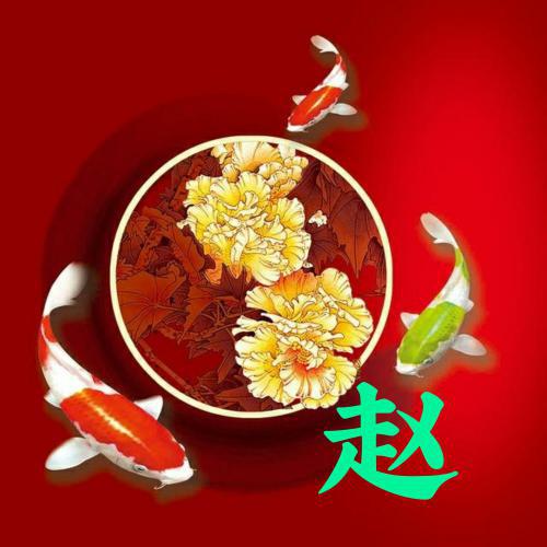 女士微信头像招财好运属蛇