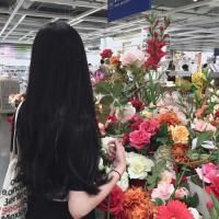 2025年最新QQ女生网名精选：兰系昵称与潮流趋势