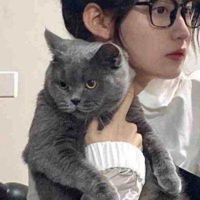 抱猫头像女ins