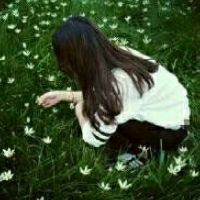 清新头像森系图片