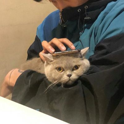 高冷头像男 霸气