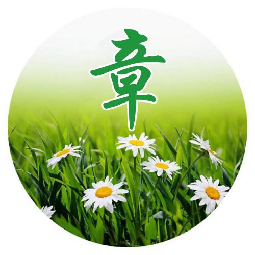 李姓氏头像女