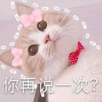 个性网名大全 魅影
