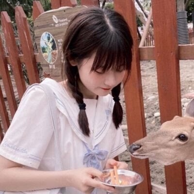高清头像素材网站