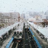 清新头像风景树