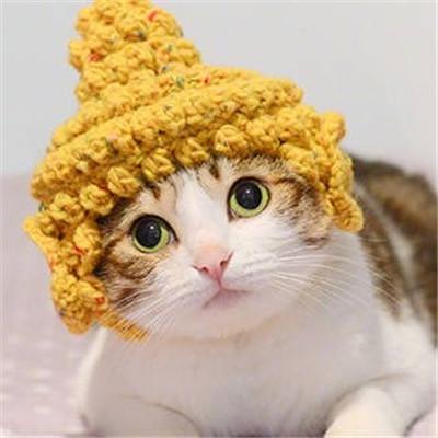 可爱猫咪情侣头像