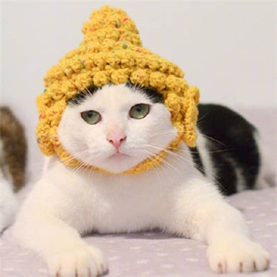 汤姆猫头像丧