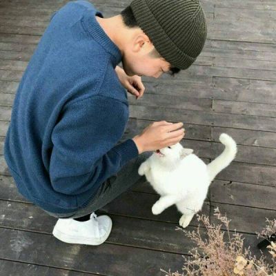高级感头像动物