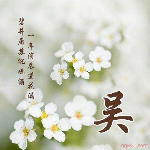 2023漂亮姓氏女生头像微信